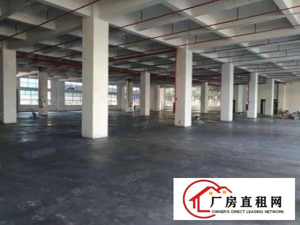  寮步新出原房东厂房一楼1000低价出租