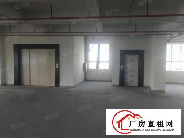  寮步新出原房东厂房一楼1000低价出租
