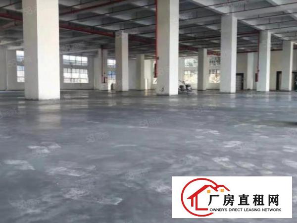  寮步新出原房东厂房一楼1000低价出租