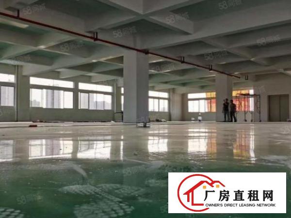  寮步有国双证准标独院面总积34700方可整租可分租