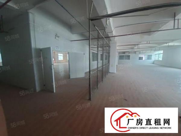  寮步原房东零公摊13000平方标准独院厂房