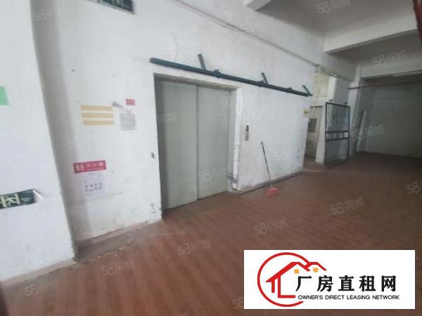  寮步原房东零公摊13000平方标准独院厂房
