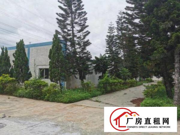  寮步莞樟路独院厂房出租独立办公楼花园式空地大交通方便