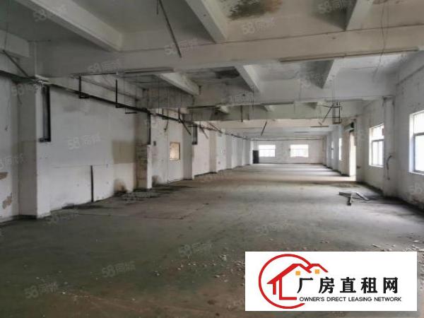  寮步莞樟路独院厂房出租独立办公楼花园式空地大交通方便
