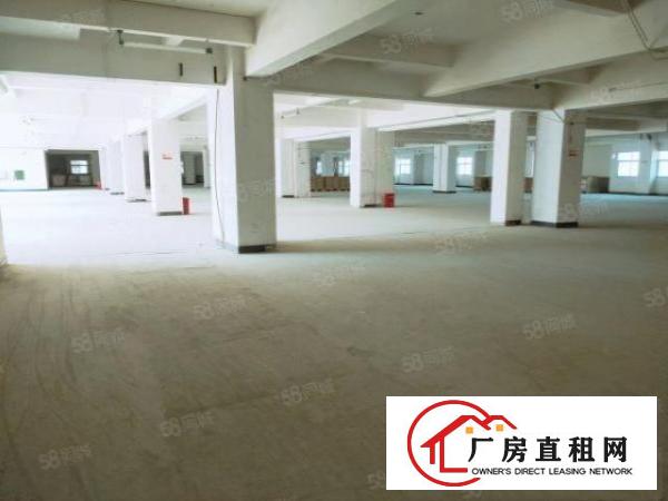  寮步重工业厂房大小分租包隔墙可办环评适合五金设备电子灯饰