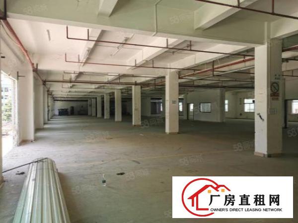  可分租寮步原房东独院标准厂房出租工业用地空地大交通方便