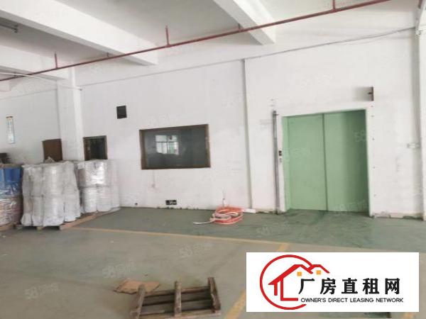  可分租寮步原房东独院标准厂房出租工业用地空地大交通方便