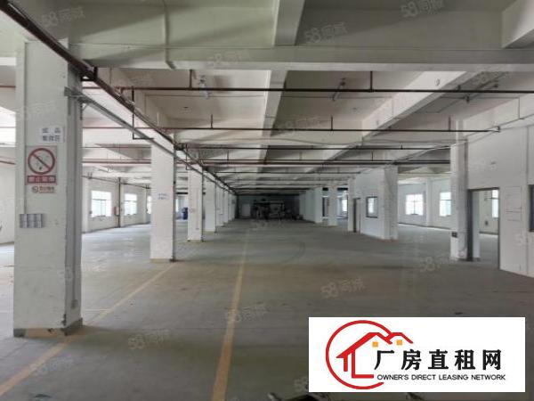  可分租寮步原房东独院标准厂房出租工业用地空地大交通方便