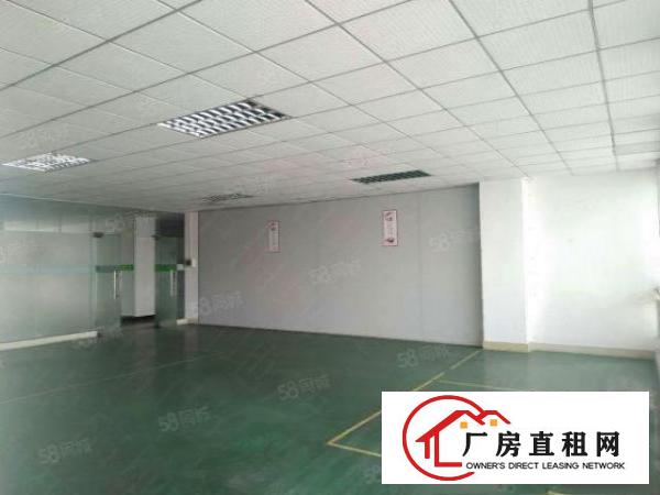  石龙坑大型工业园4300平方厂房招租，带地喷漆，12元全包！