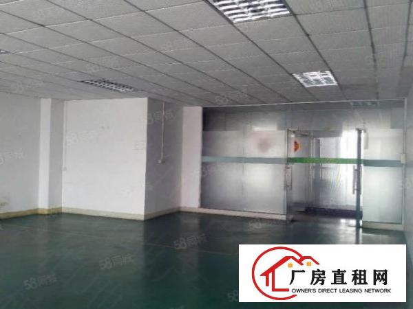  石龙坑大型工业园4300平方厂房招租，带地喷漆，12元全包！