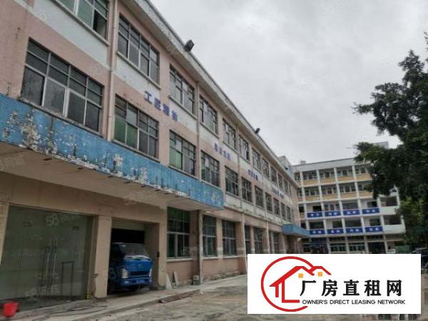  寮步横坑租客分租标准独院厂房一楼600平方，无公摊，价格好谈