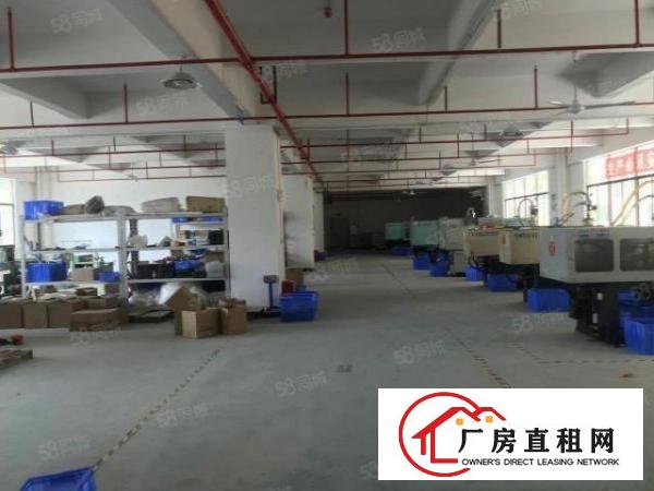  寮步原房东独院厂房上市公司有红本