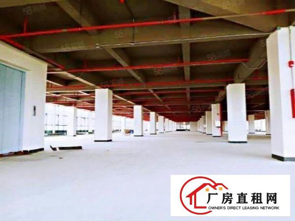  寮步原房东独院厂房上市公司有红本