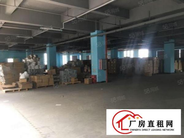 寮步原房东独院厂房上市公司有红本
