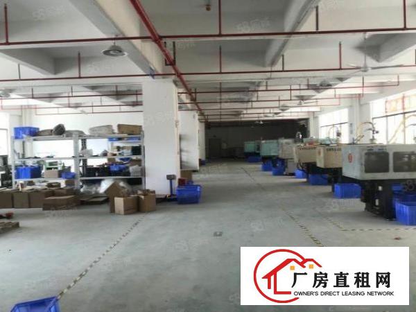  寮步原房东独院厂房上市公司有红本