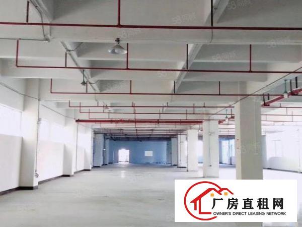  寮步新出楼上1500平吊顶地坪漆带办公室厂房出租