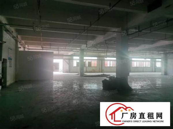  寮步凫山新空出一楼1100平厂房低价出租主线到车间