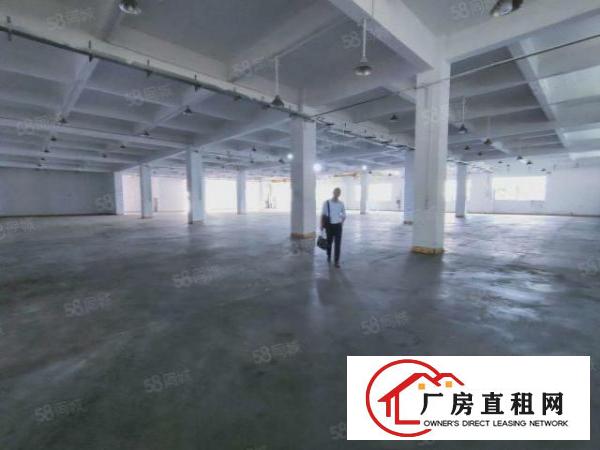  寮步凫山新空出一楼1100平厂房低价出租主线到车间