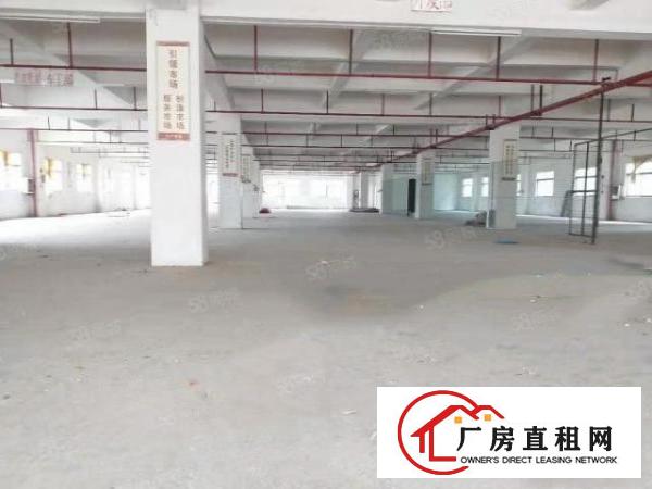  寮步陈家铺标准独院厂房分租一楼500平方工业用地.