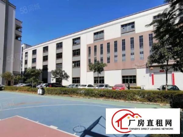  （寮步厂房招租）本地原房东可分租1200平方