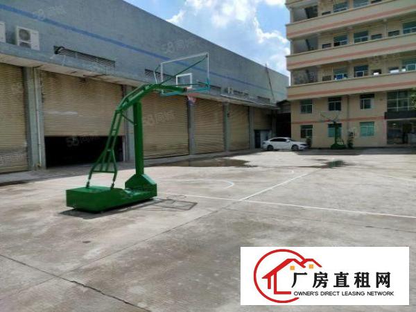  寮步新出标准厂房一楼950平带豪华装修办公室，水电齐全