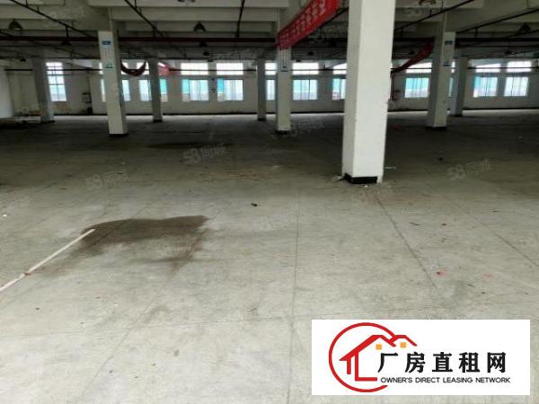 寮步新出标准厂房一楼950平带豪华装修办公室，水电齐全