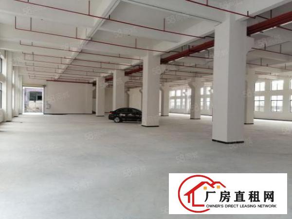  带客梯和三吨货梯厂房，可办环评有消防喷淋，独院分租一栋