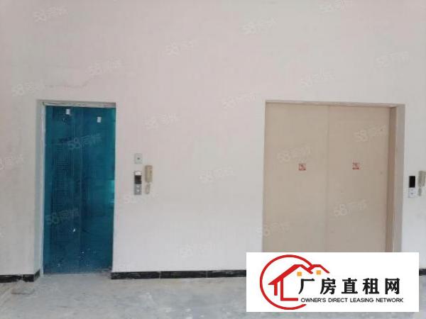  带客梯和三吨货梯厂房，可办环评有消防喷淋，独院分租一栋