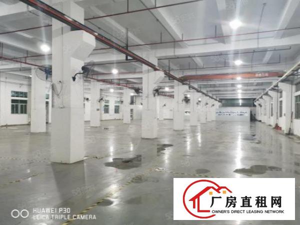  靠近松山湖带红本独门独院厂房出租环评包过交通方便空地大