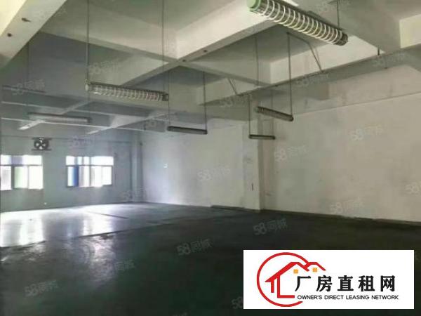  寮步镇经典独院厂房4层4500平方空地免费用交通方便