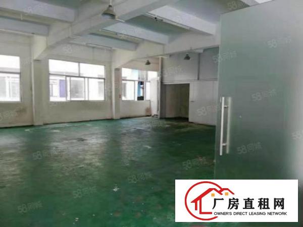  寮步镇经典独院厂房4层4500平方空地免费用交通方便