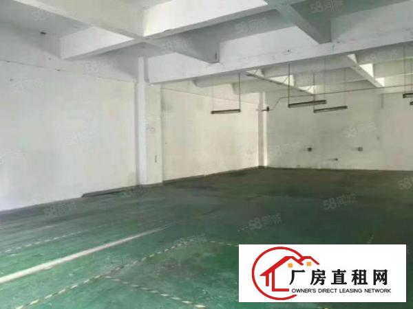  寮步镇经典独院厂房4层4500平方空地免费用交通方便