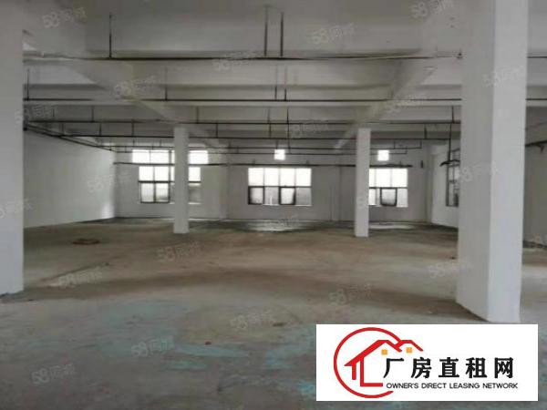  寮步镇经典独院厂房4层4500平方空地免费用交通方便