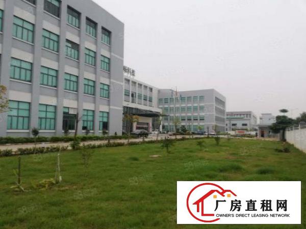  东莞寮步西溪成熟高新产业园8000平方一层厂房招租可分租