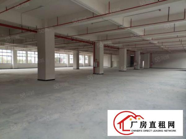  全新厂房独立综合楼消防喷淋齐全形象佳空地大图片真实