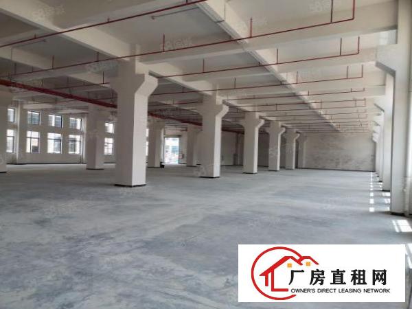 全新厂房独立综合楼消防喷淋齐全形象佳空地大图片真实