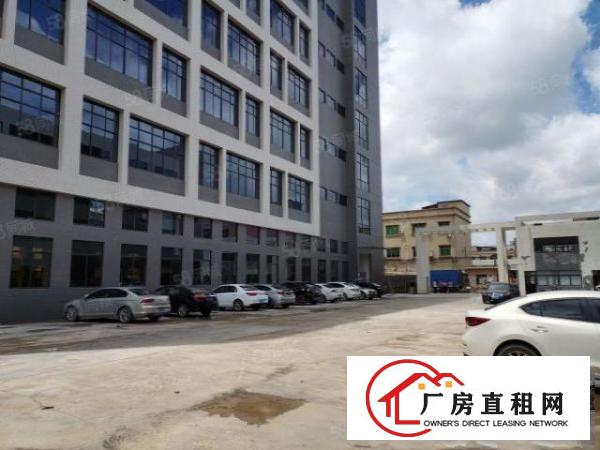  全新厂房独立综合楼消防喷淋齐全形象佳空地大图片真实