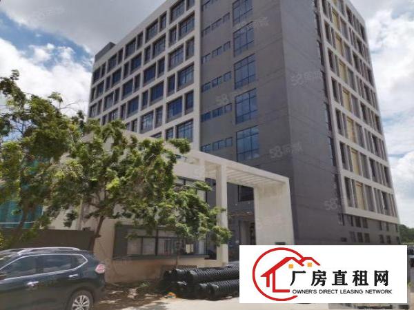  全新厂房独立综合楼消防喷淋齐全形象佳空地大图片真实