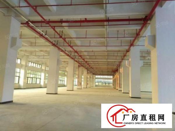  寮步镇新出型像高大上工业园厂房一二楼，工业用地，可办环评