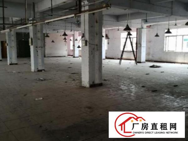  出租茶山镇三楼厂房一楼厂房三楼四楼宿舍