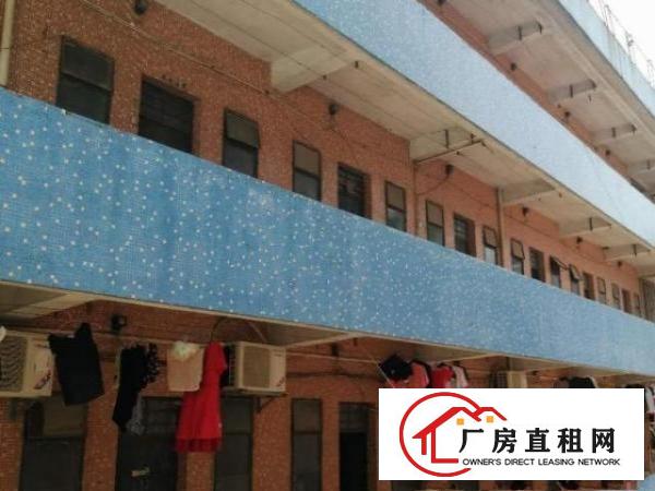  出租茶山镇三楼厂房一楼厂房三楼四楼宿舍