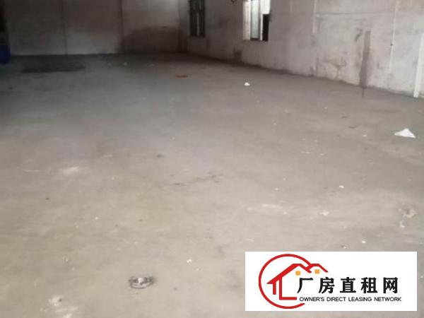  出租茶山镇三楼厂房一楼厂房三楼四楼宿舍