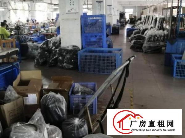  出租茶山镇三楼厂房一楼厂房三楼四楼宿舍
