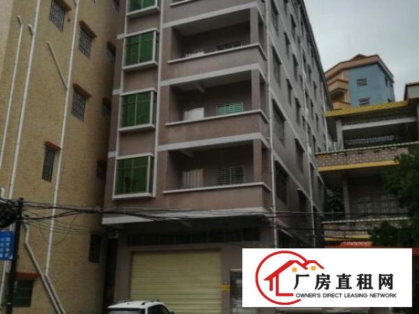  出租茶山镇京山村门楼附近整栋出租