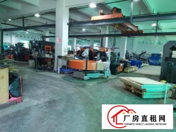  茶山镇增埗卢边工业区新出一楼650方带现成办公室，现成行车