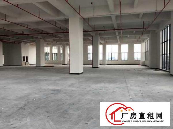  （出租）房东直招东莞厚街大道独栋独院厂房（非中介）