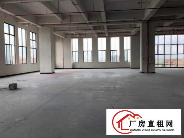  （出租）房东直招东莞厚街大道独栋独院厂房（非中介）