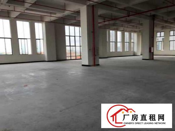  （出租）房东直招东莞厚街大道独栋独院厂房（非中介）