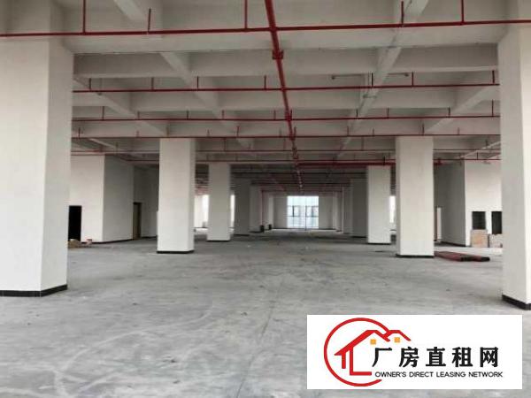  （出租）房东直招东莞厚街大道独栋独院厂房（非中介）