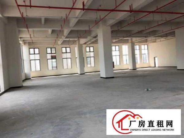  （出租）房东直招东莞厚街大道独栋独院厂房（非中介）